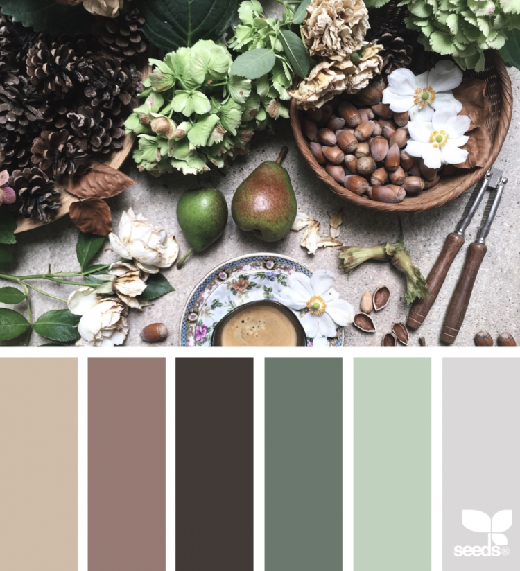 Природная цветовая палитра