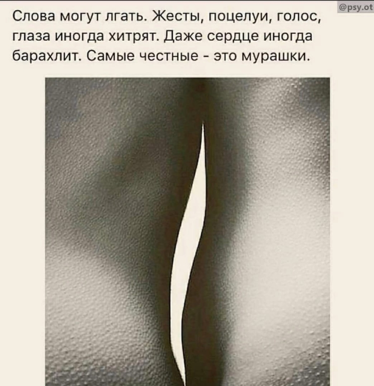 Фразы про мурашки