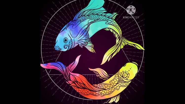 Изображения рыб астрология