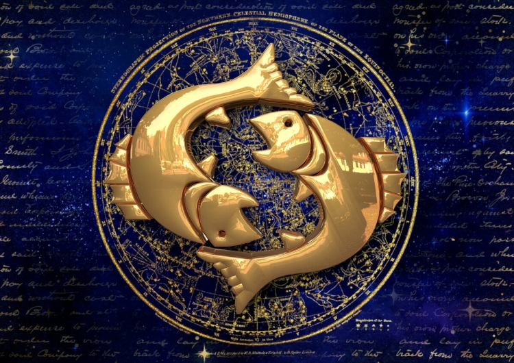 Изображение знака зодиака рыбы