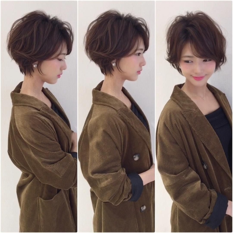 Pixie Bob стрижка Корея