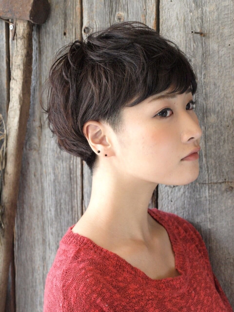 Пиксибоб стрижка корейская