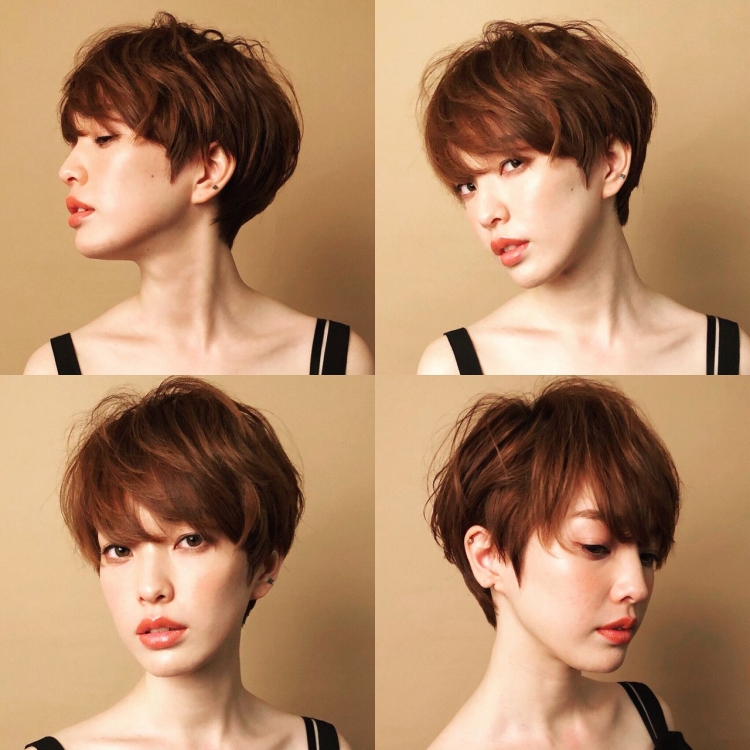 Pixie Bob стрижка Корея