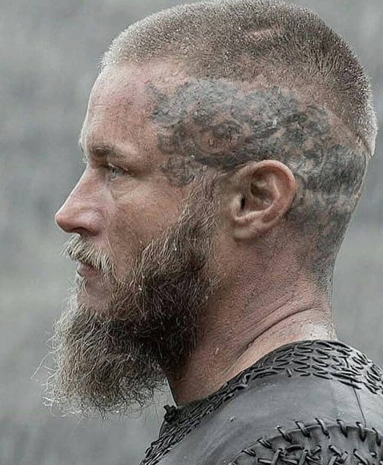 Рагнар Лодброк борода