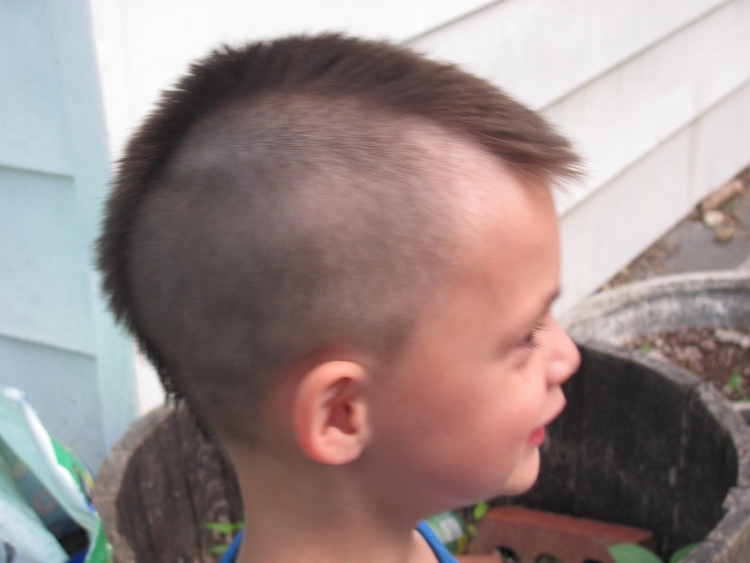 Широкий ирокез детский