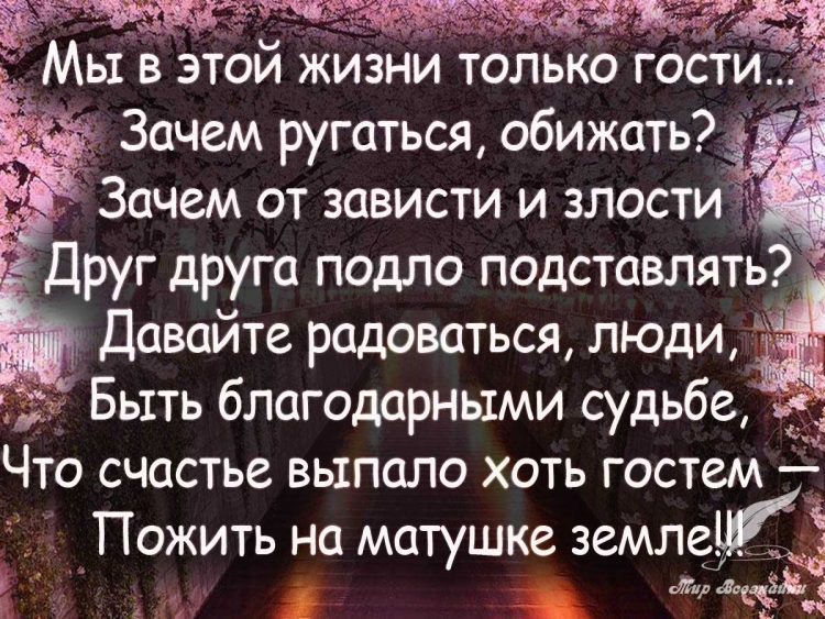 Статусы про зависть и злость