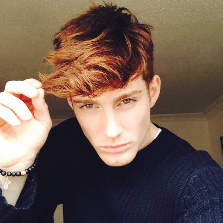 Густав Хэир модель