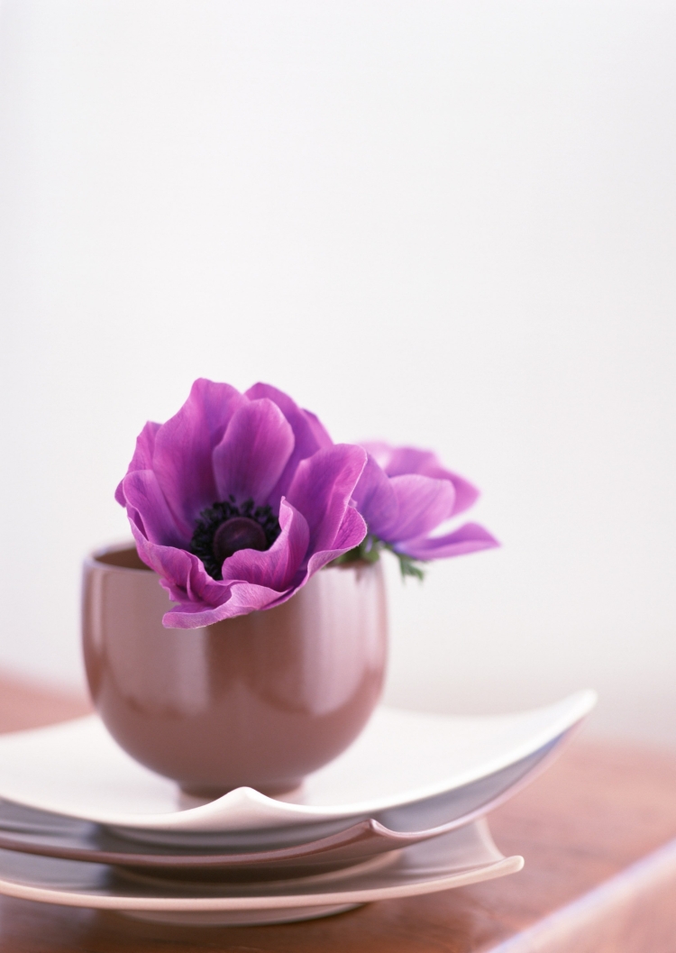 Мудрые пожелания с добрым утром