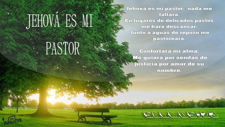 С добрым утром в стихах о природе