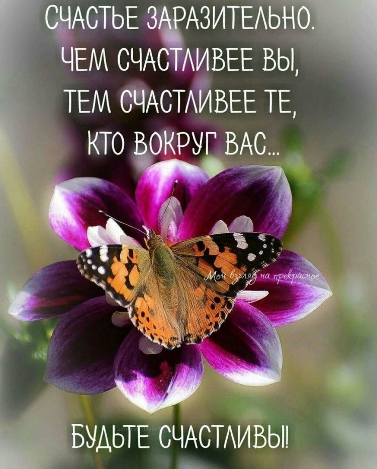 Жизненные пожелания с добрым утром