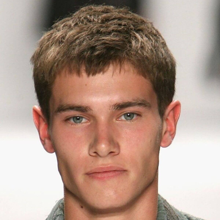 Принстон стрижка мужская короткая