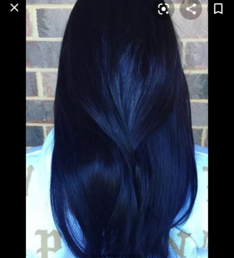 Антоцианин иссиня черный