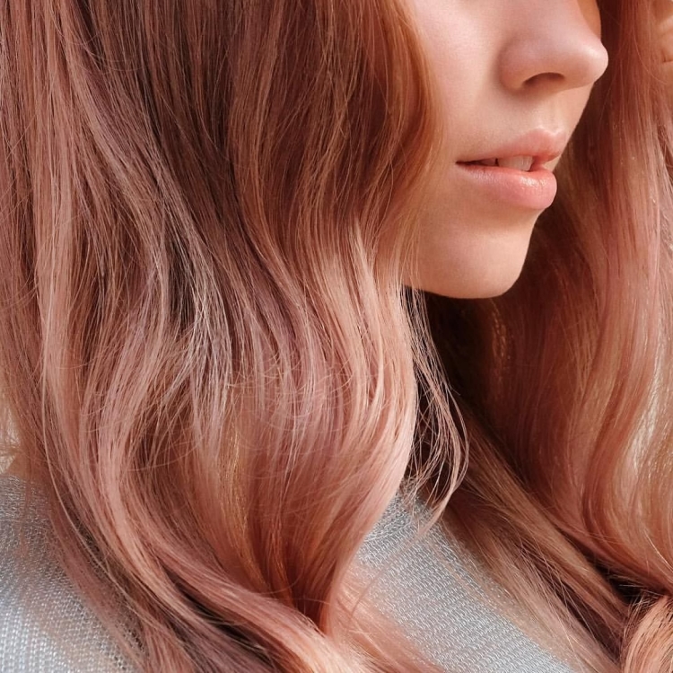 Велла Иллюмина рыжий