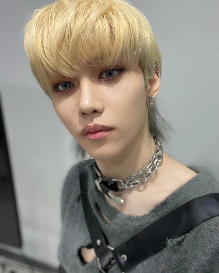 Стрижка Вулф кат стоимость