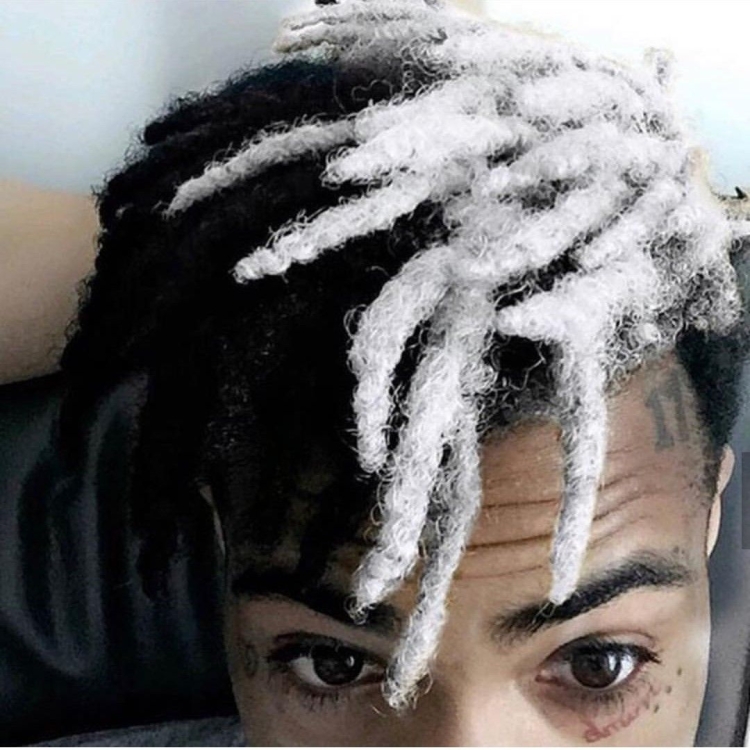 Дреды МОРГЕНШТЕРНА 2022