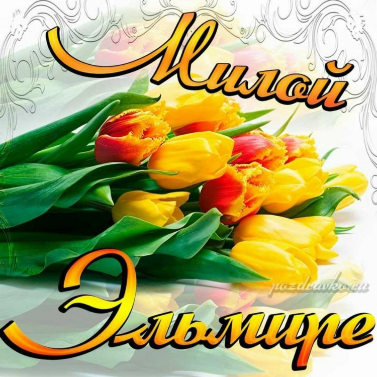 С дн4м РОЖДЕНИЯЭЛЬМИРА