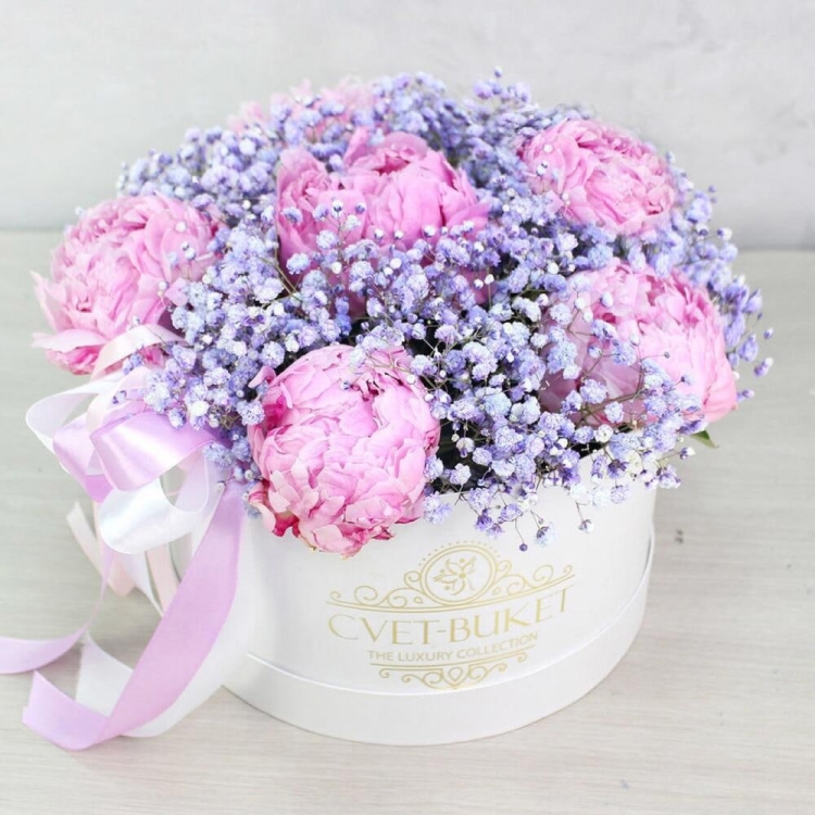 Пионы и гипсофила букет