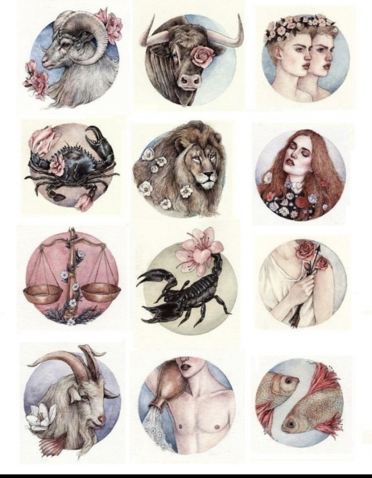Необычное изображение знаков зодиака