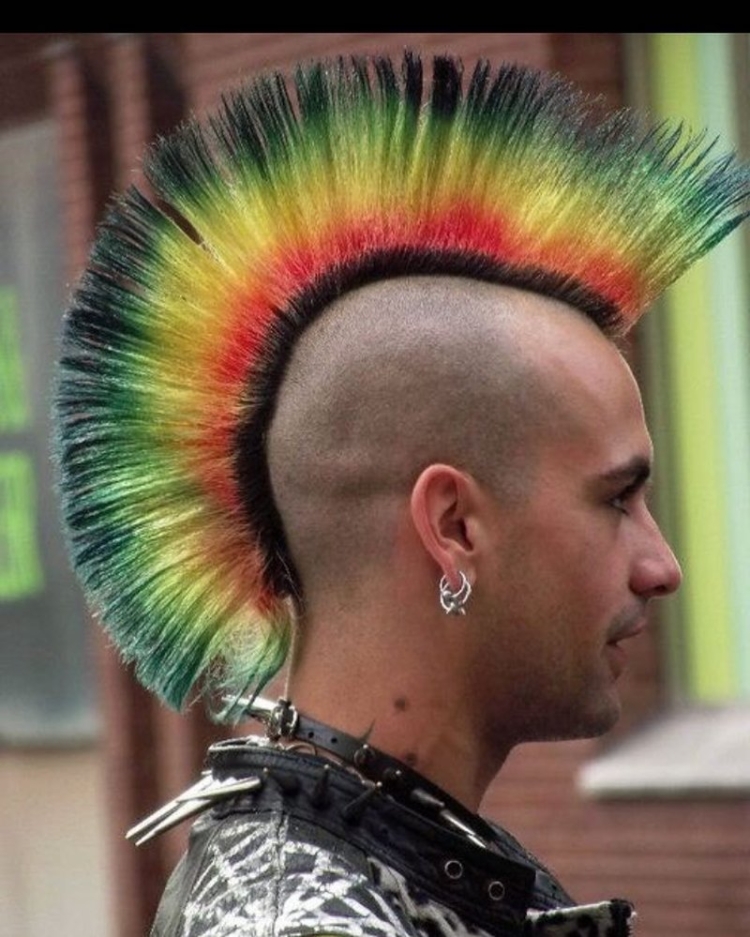 Хаер прическа у Панков