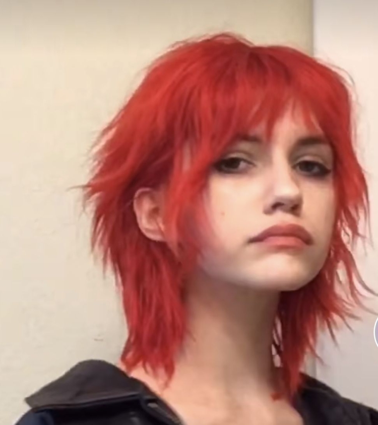 Стрижка маллет 2022