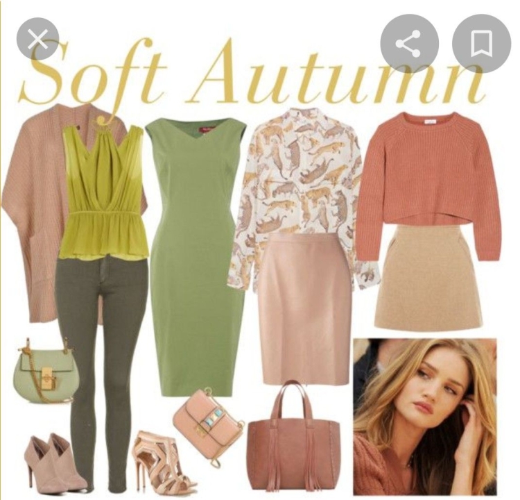 Soft autumn цветотип