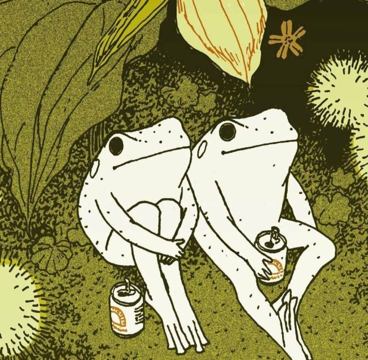 Эстетика в стиле инди КИД лягушки