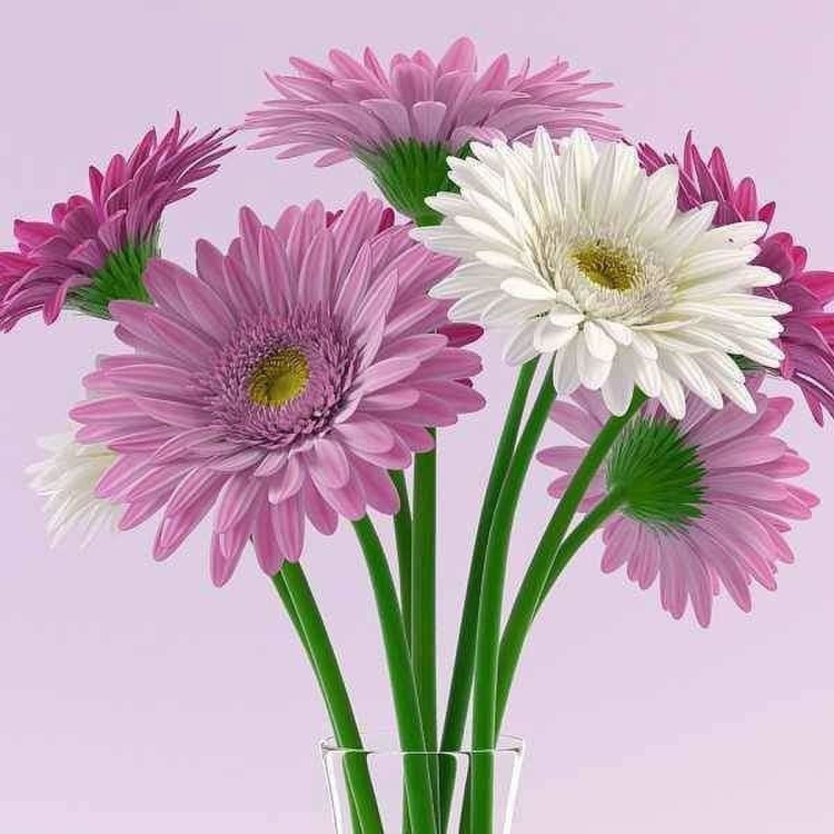 Доброе утро герберы