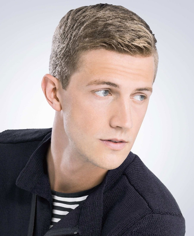 Принстон стрижка