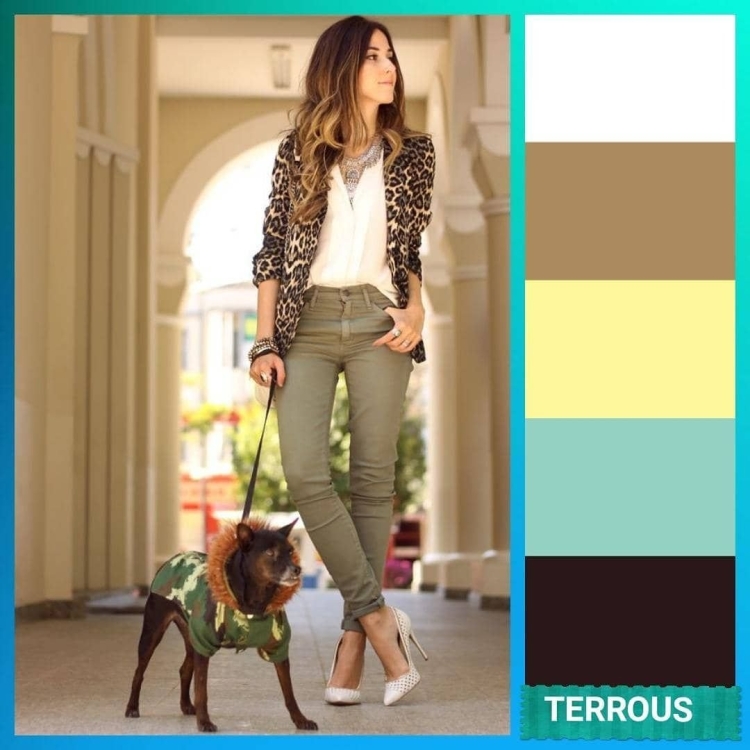 Леопард цветовые сочетания