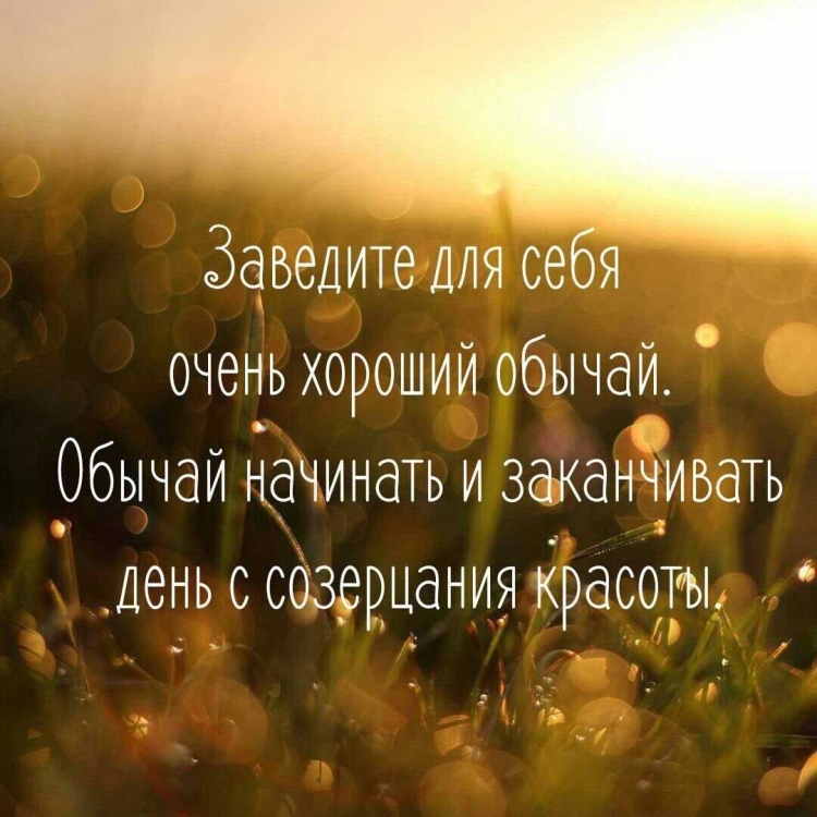 Цитаты про счастье