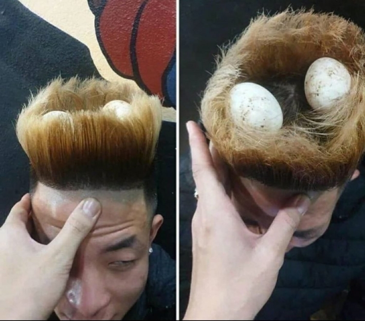 Прическа в виде гнезда