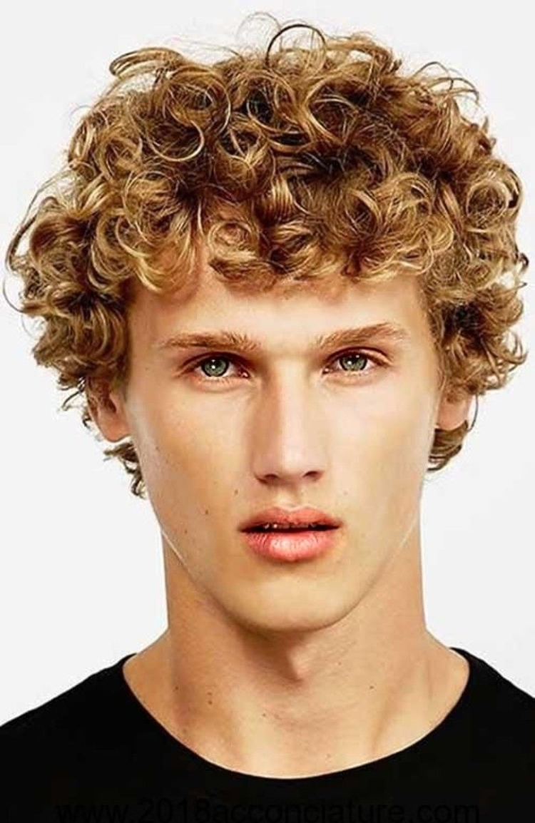 Кудрявые прически мужские