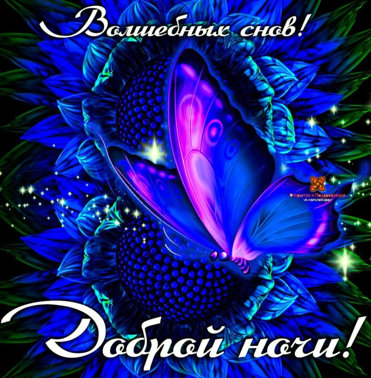 Открыточки спокойной ночи