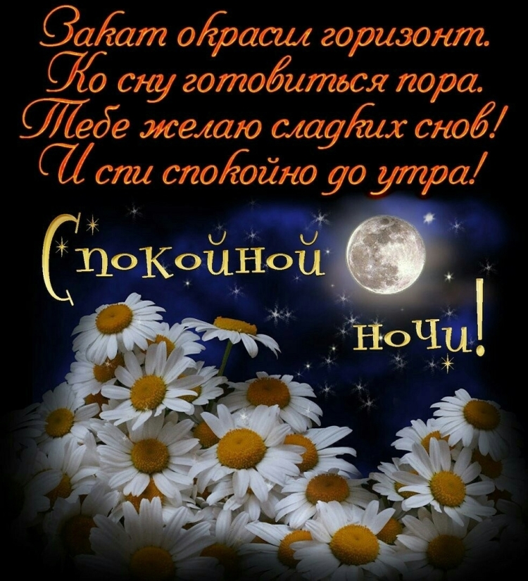 Пожелания спокойной ночи