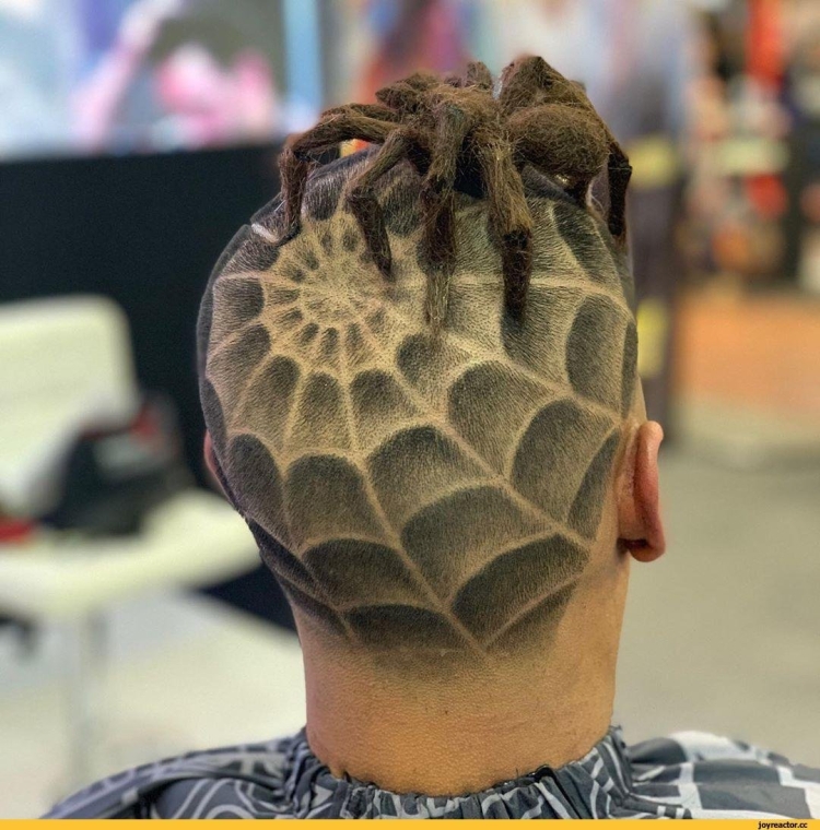 Паутина на голове стрижка