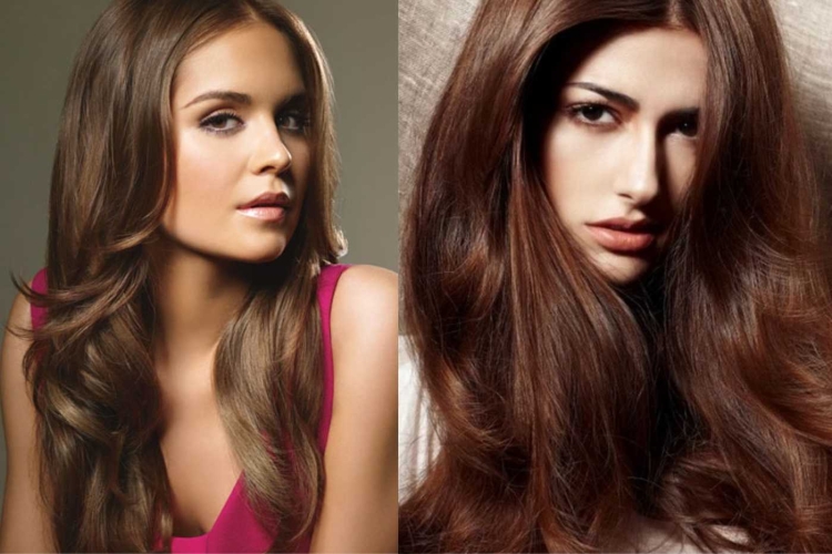 Каштановые оттенки волос