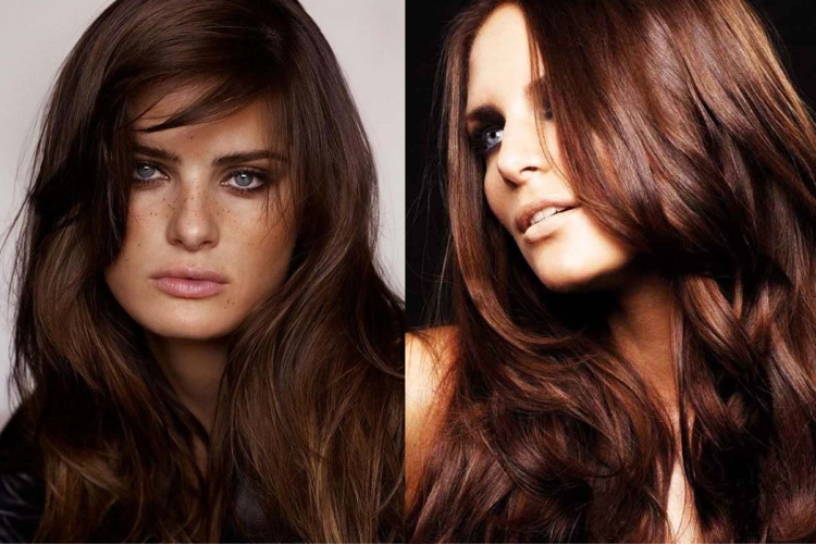 Цвет волос темный каштан и Горький шоколад