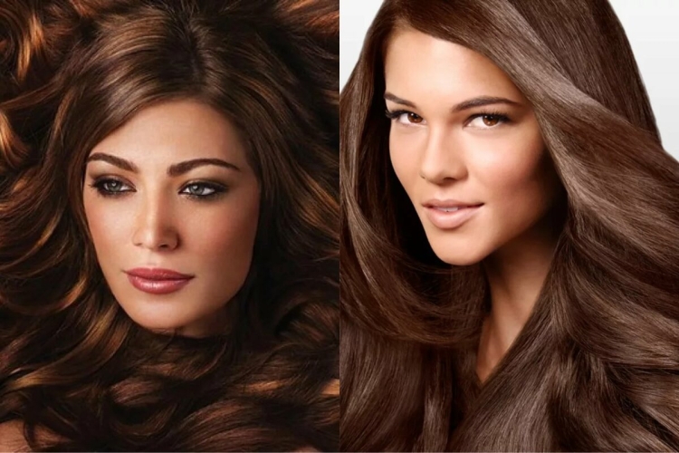 Темный каштановый шоколад