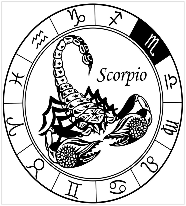 Знак зодиака Скорпион черно белый
