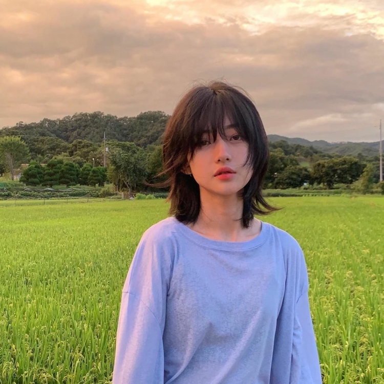 Маллет Wolfcut