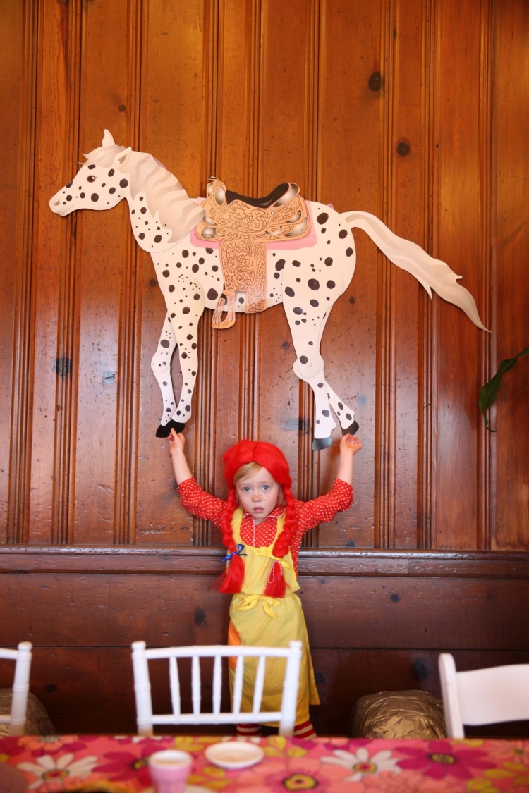 День рождения в стиле Пеппи длинный чулок