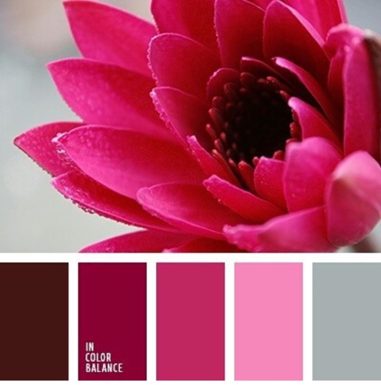 Seeds Color Palette фуксия