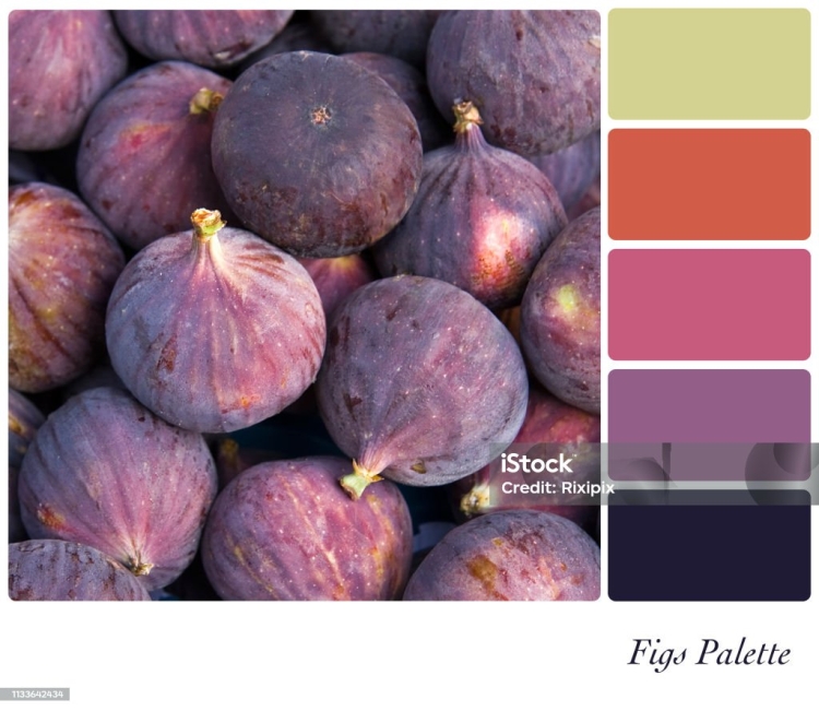 Цветовые сочетания Инжирный