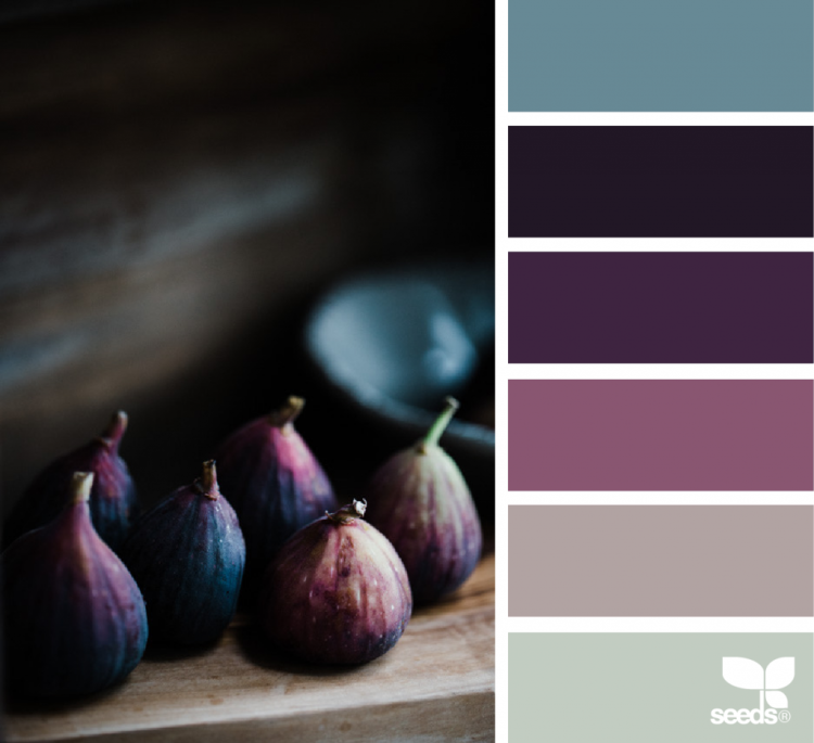Инжирный цвет палитра