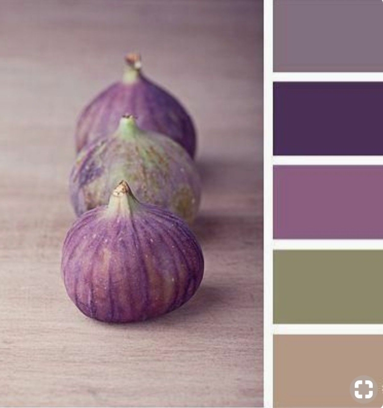 Палитра баклажановых оттенков