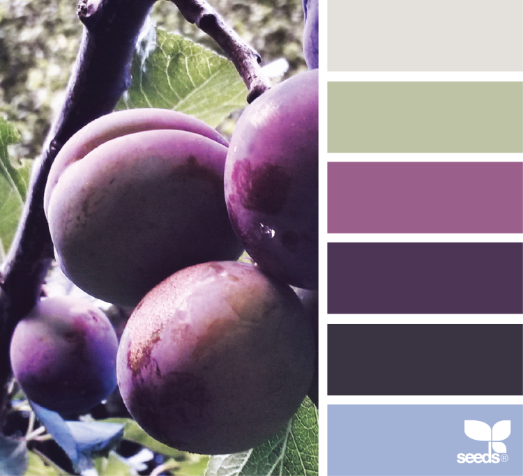 Цветовая палитра инжир