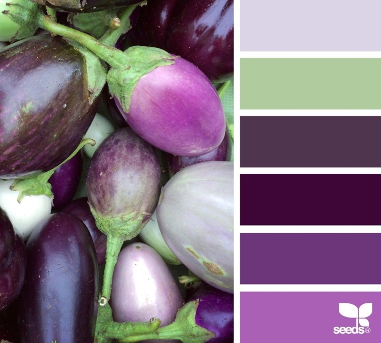 Палитры Сидс фиолетовые