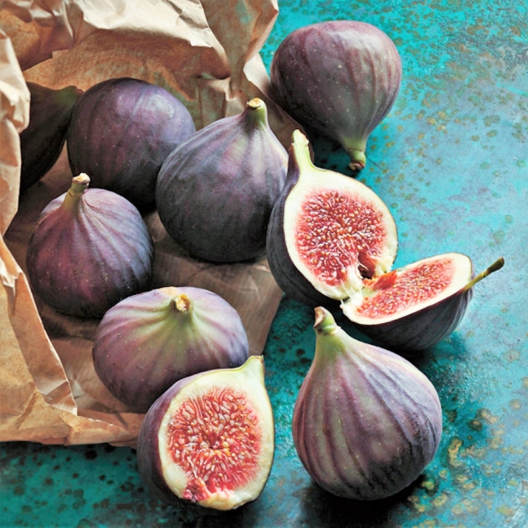 Инжир неспелый