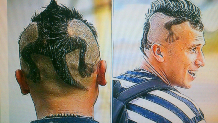 Ящерица с волосами