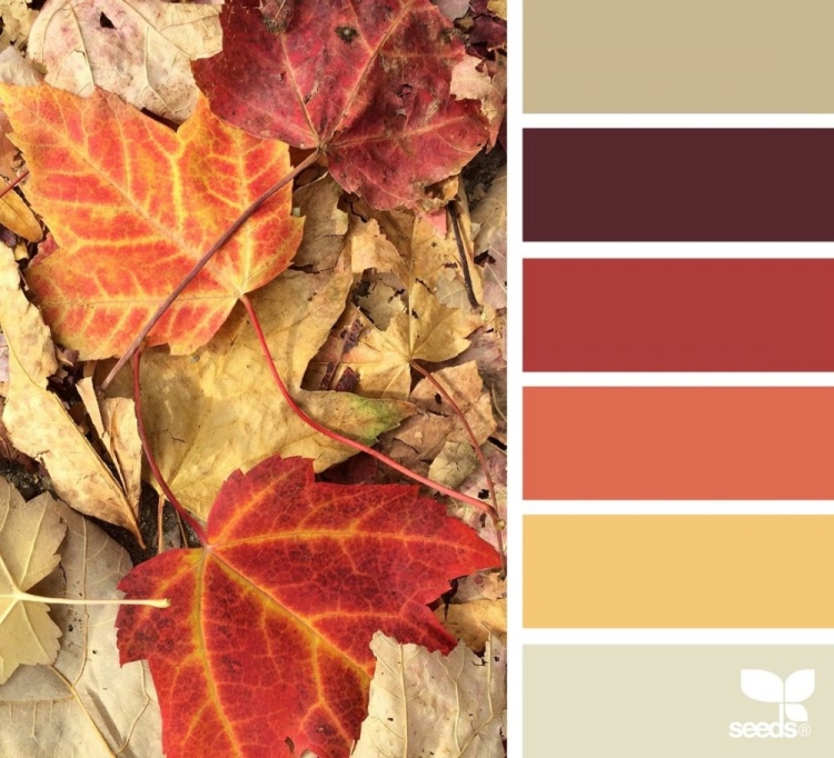 Осенние цвета